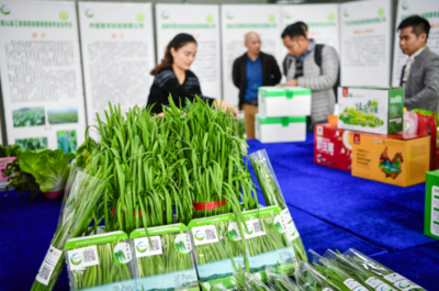 大灣區“菜籃子”產品清遠配送中心開業，農副產品“一站式”服務助力區域融合