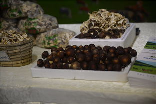 攜手豐臺，共繪鄉村振興新畫卷——豐臺區扶貧協作地區農副產品推介活動紀實