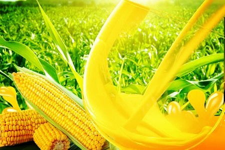 吉林農副食品加工公司57.136%股權轉讓 行業(yè)機遇與挑戰(zhàn)并存